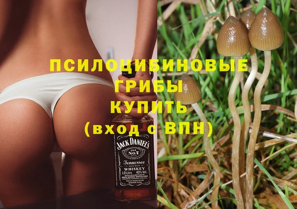 гидропоника Белокуриха