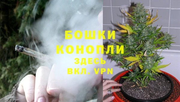 гидропоника Белокуриха