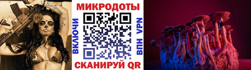 Псилоцибиновые грибы мицелий  Комсомольск-на-Амуре 